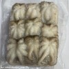 Frozen Squids
